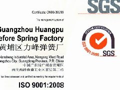 ISO 9001 质量体系认...